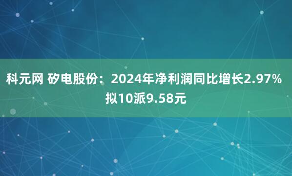 科元网 矽电股份：2024年净利润同比增长2.97% 拟10派9.58元