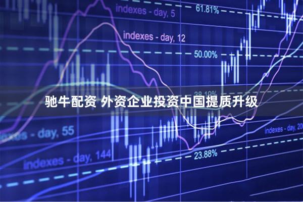 驰牛配资 外资企业投资中国提质升级