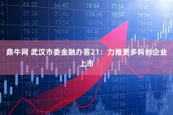鼎牛网 武汉市委金融办答21：力推更多科创企业上市