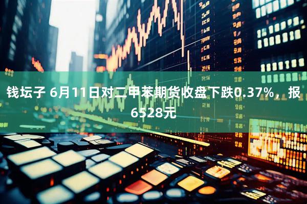 钱坛子 6月11日对二甲苯期货收盘下跌0.37%，报6528元